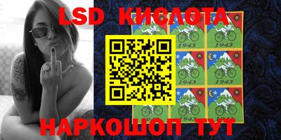 apvp Канаш