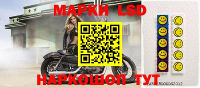 apvp Канаш
