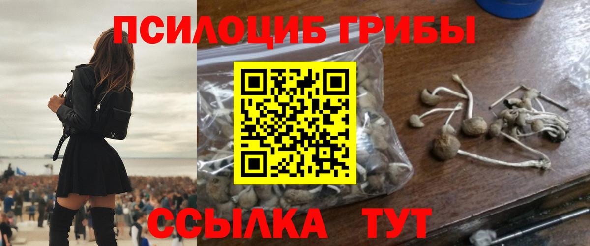 Бирск  как найти закладки  Вход с VPN  Галлюциногенные грибы мицелий 